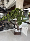 Eternal Life Moss - Mini Landscape Decor 