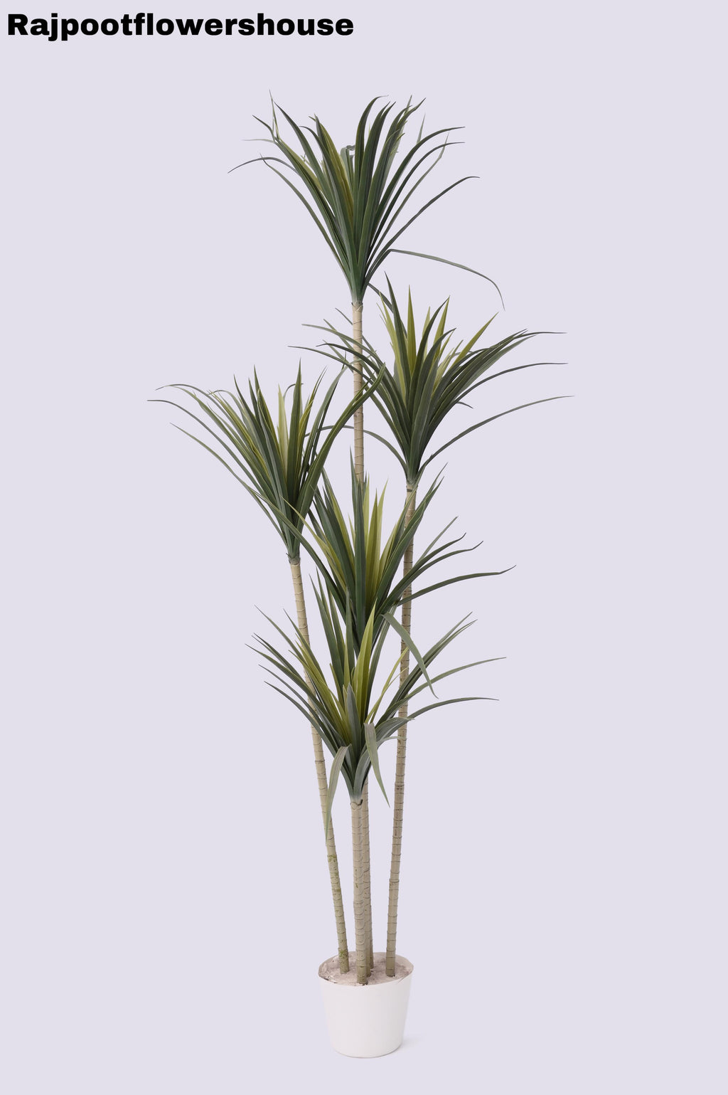 Artificial Multi-Stem Dracaena Tree