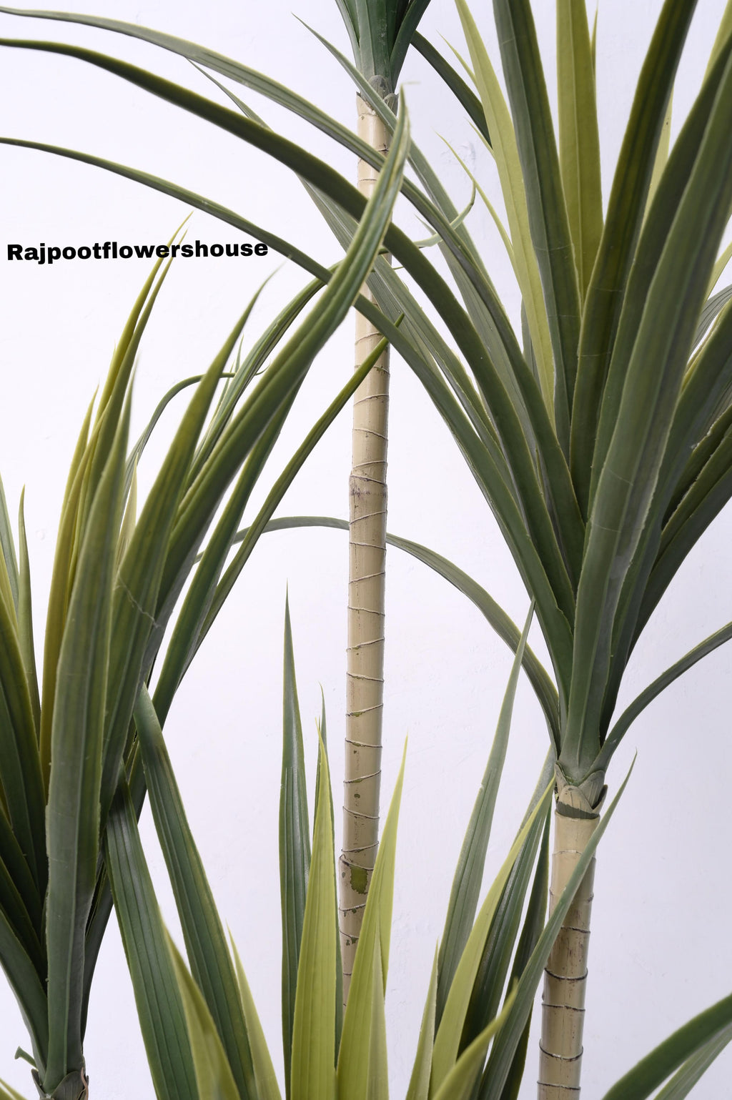 Artificial Multi-Stem Dracaena Tree
