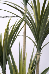 HYGRAD Large Artifical Home Plants Indoor