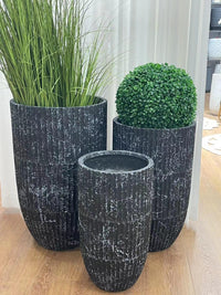 Durable And Stylish Outdoor Plant