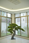 Premium Artificial Bonsai Tree (Large)