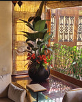 Designer Custom Plant Arrangement