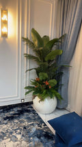 Designer Plant Arrangement in White Round Planter