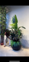 Custom Tropical Arrangement in Large Black Planter