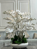 White Phalaenopsis Orchid Arrangement (26 in)
