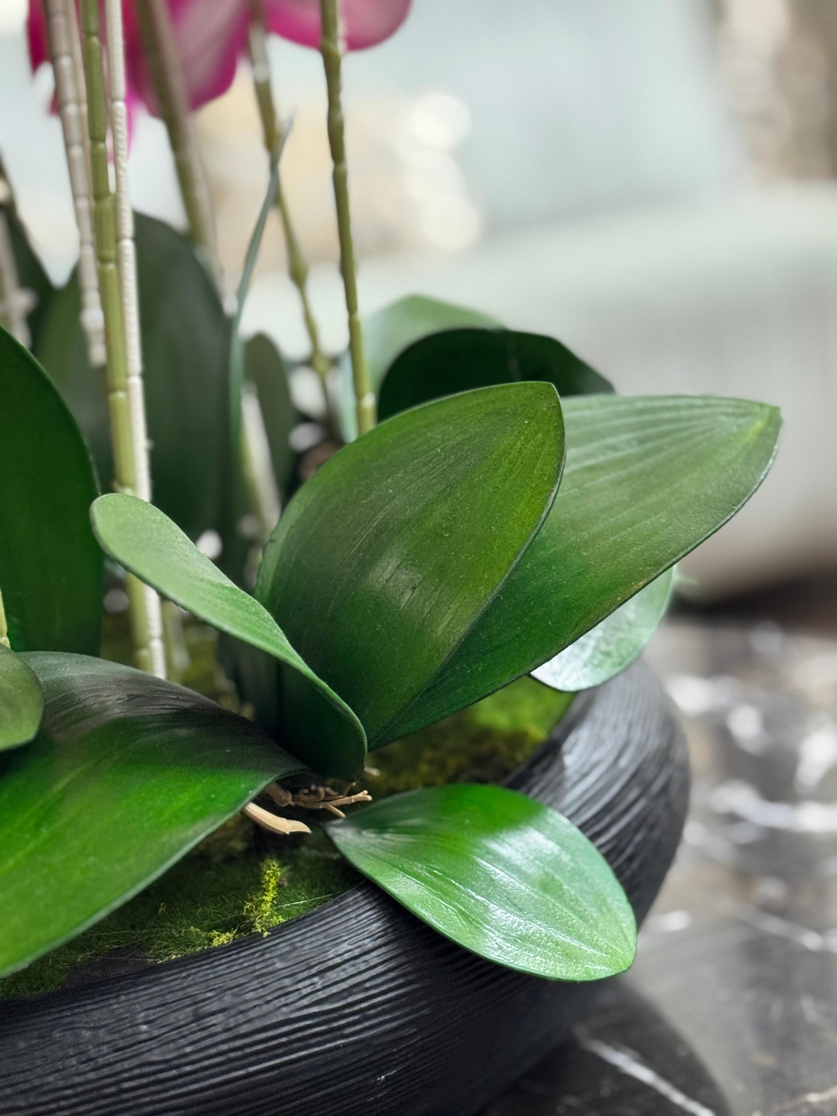 White Phalaenopsis Orchid Arrangement (26 in) – view 5