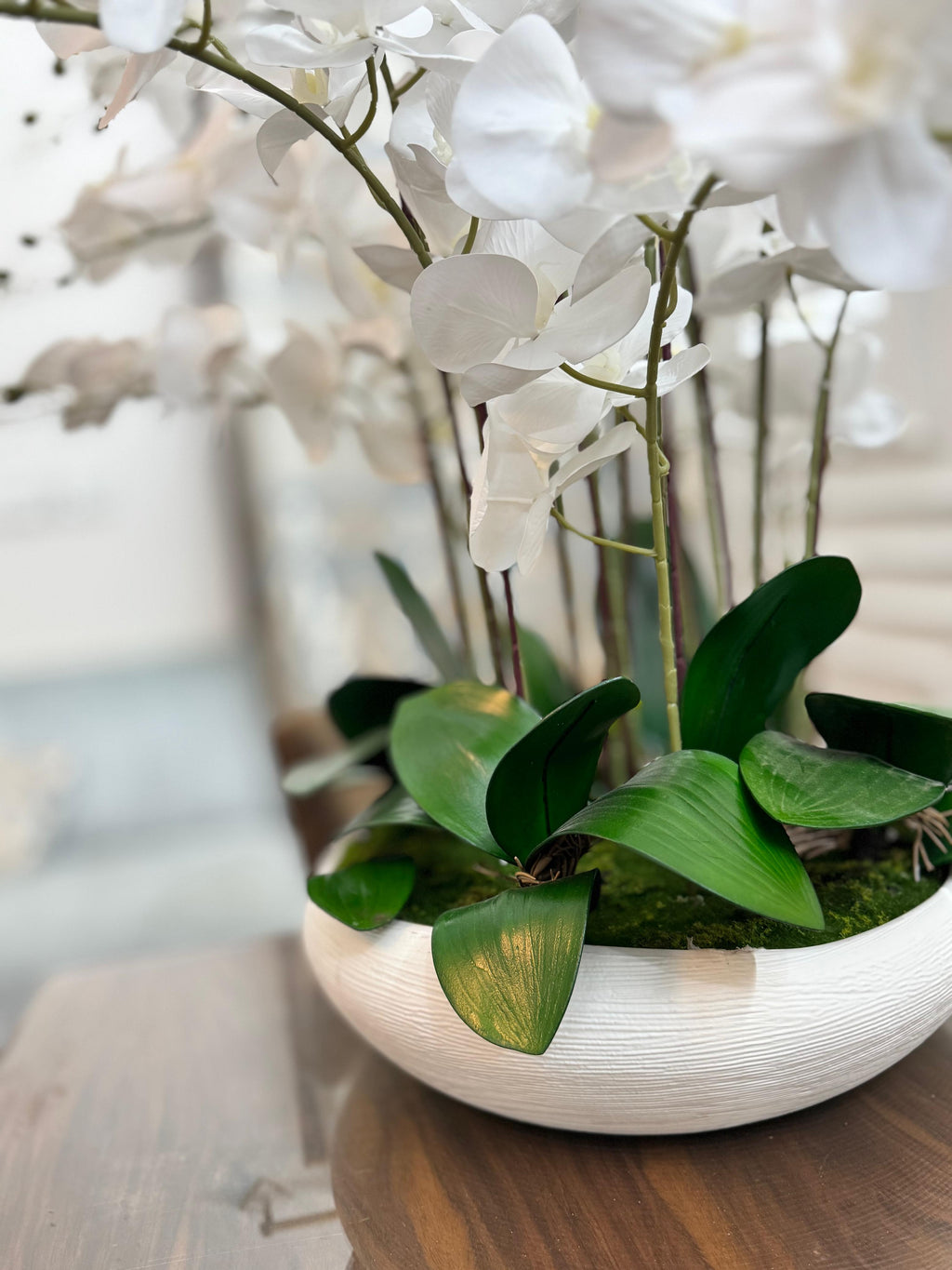 White Phalaenopsis Orchid Arrangement (26 in) – view 4