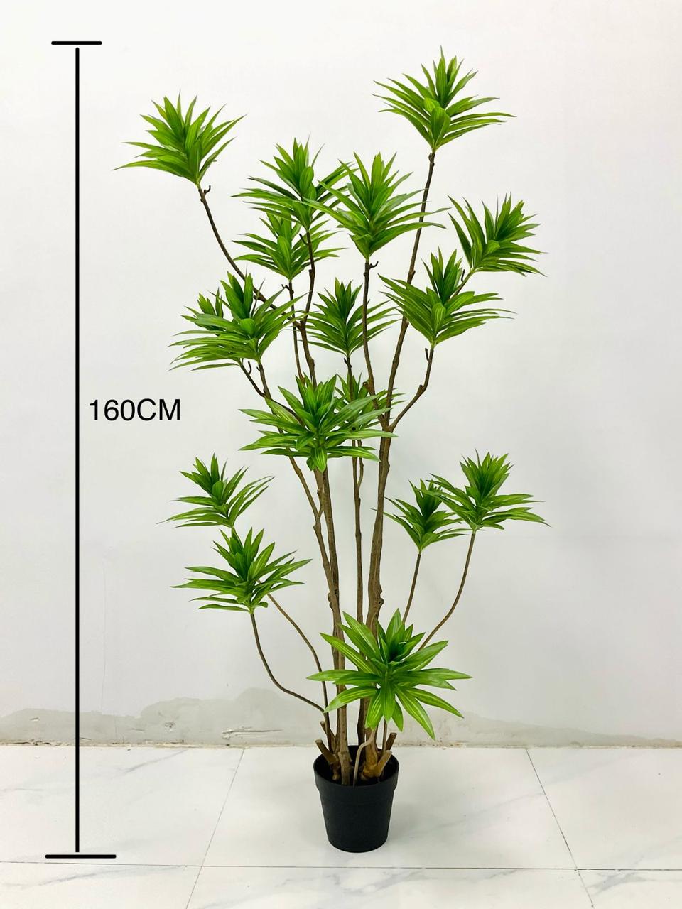 Green Plants Lilies Bamboo