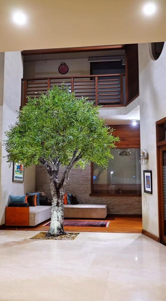 Artificial Olive Tree 18.5 Ft  Realistic Indoor/Outdoor Decorative Olive Tree (Large Size)