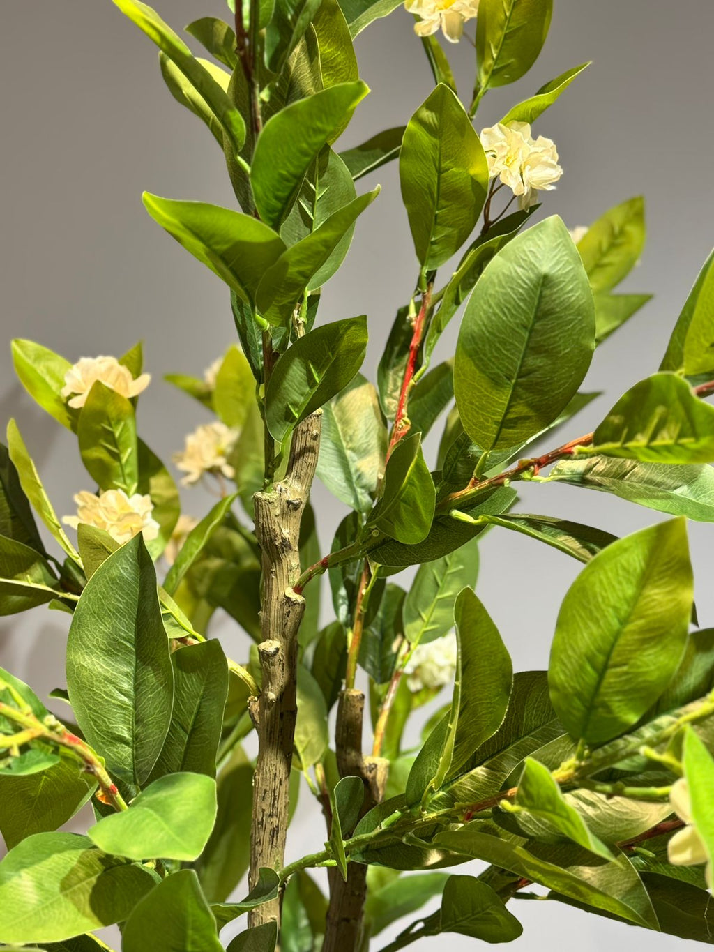 Artificial Magnolia plant