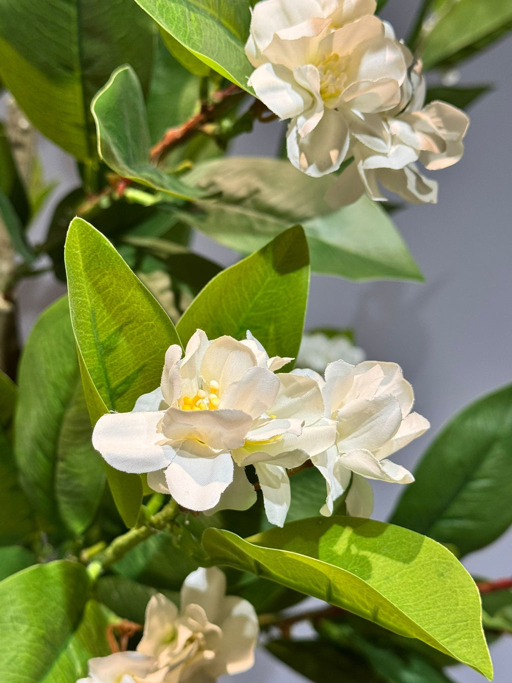 Artificial Magnolia plant