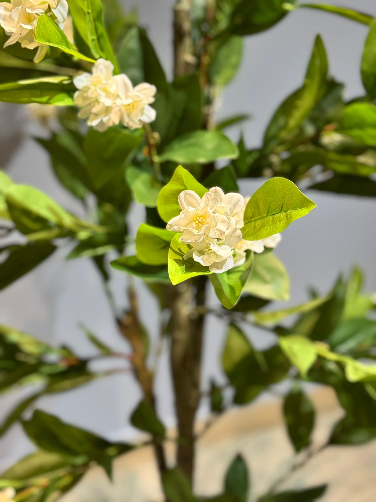 Artificial Magnolia plant