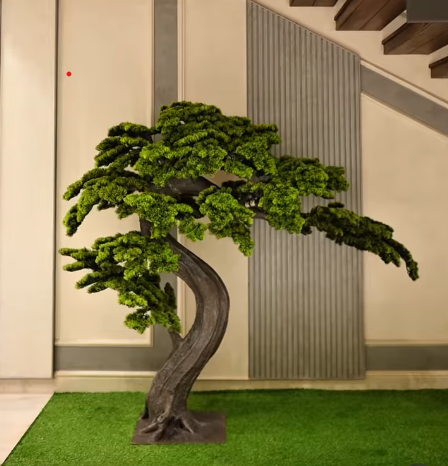 Imported Bonsai Tree
